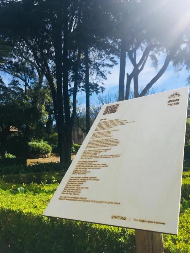 DIA MUNDIAL DA BIODIVERSIDADE | placas em madeira e poemas em video